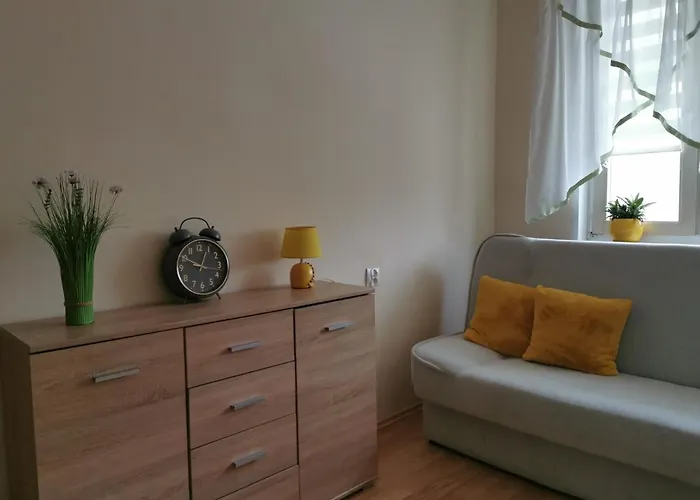 Mieszkanie Brzezno Przy Plazy