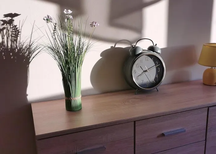 Mieszkanie Brzezno Przy Plazy