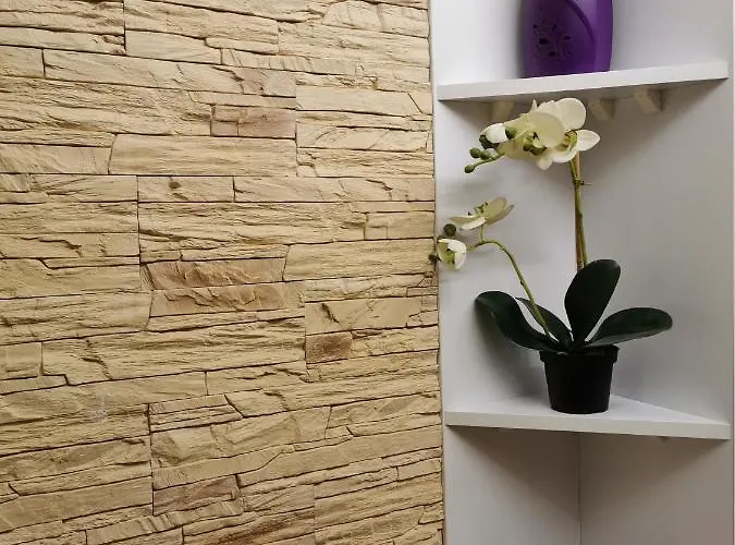 Mieszkanie Brzezno Przy Plazy *