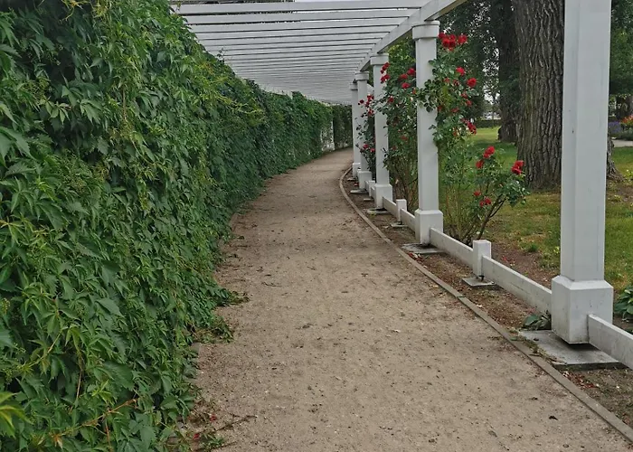 Mieszkanie Brzezno Przy Plazy